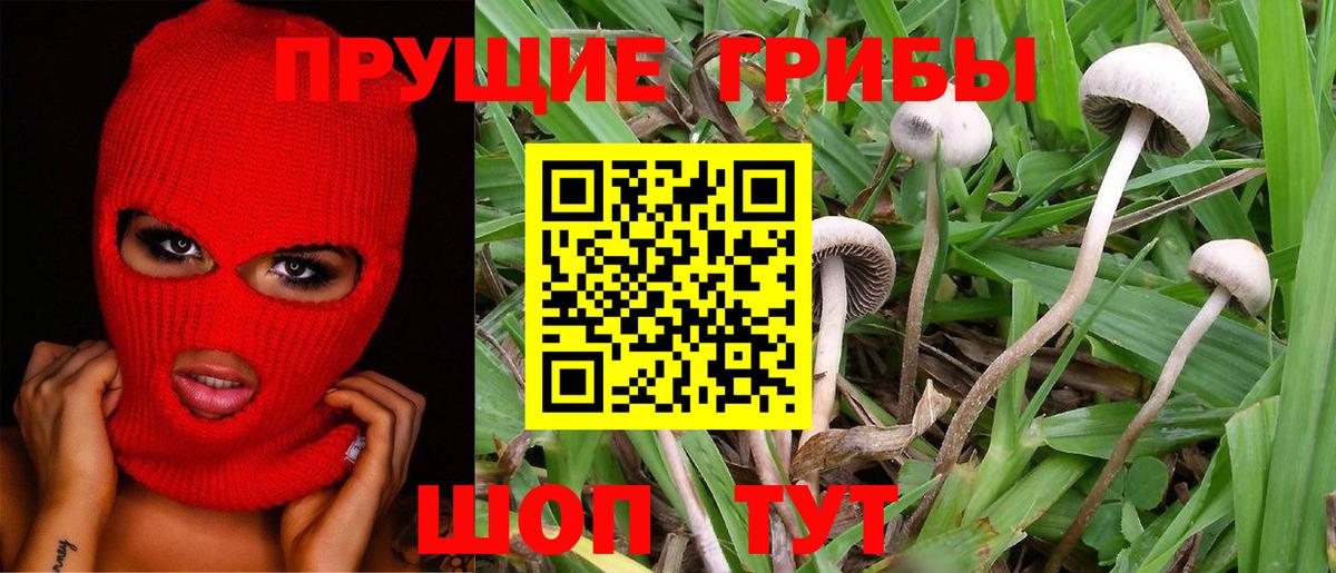 Псилоцибиновые грибы Magic Shrooms  Вход с VPN  Чита  Псилоцибиновые грибы Magic Shrooms 