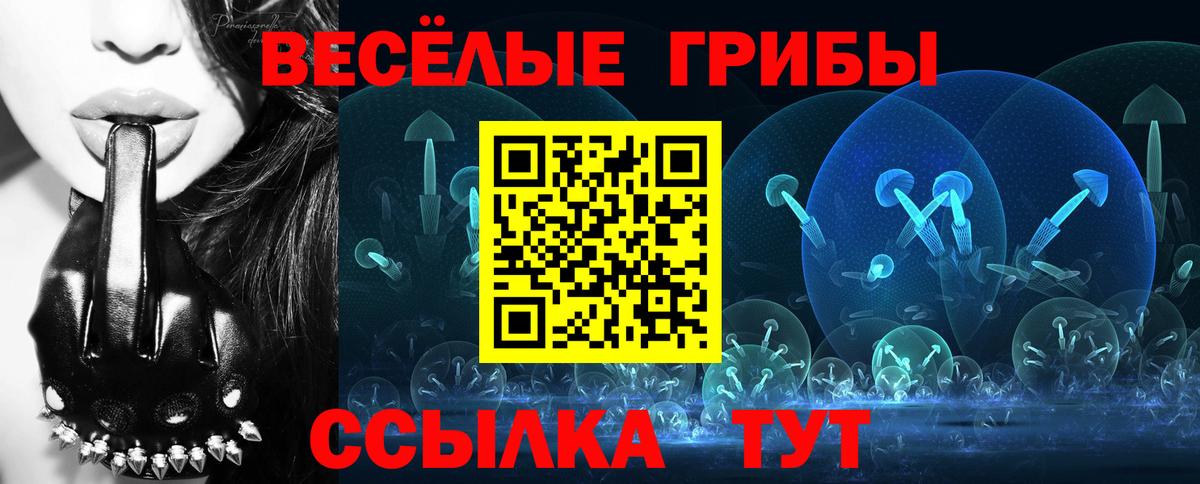 Галлюциногенные грибы GOLDEN TEACHER Чита